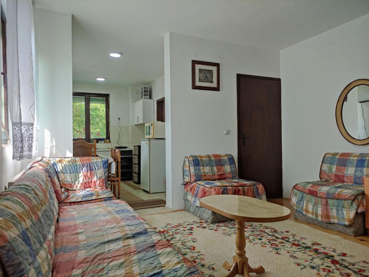 Cozy House Cvetkovic Villa Ni Dış mekan fotoğraf