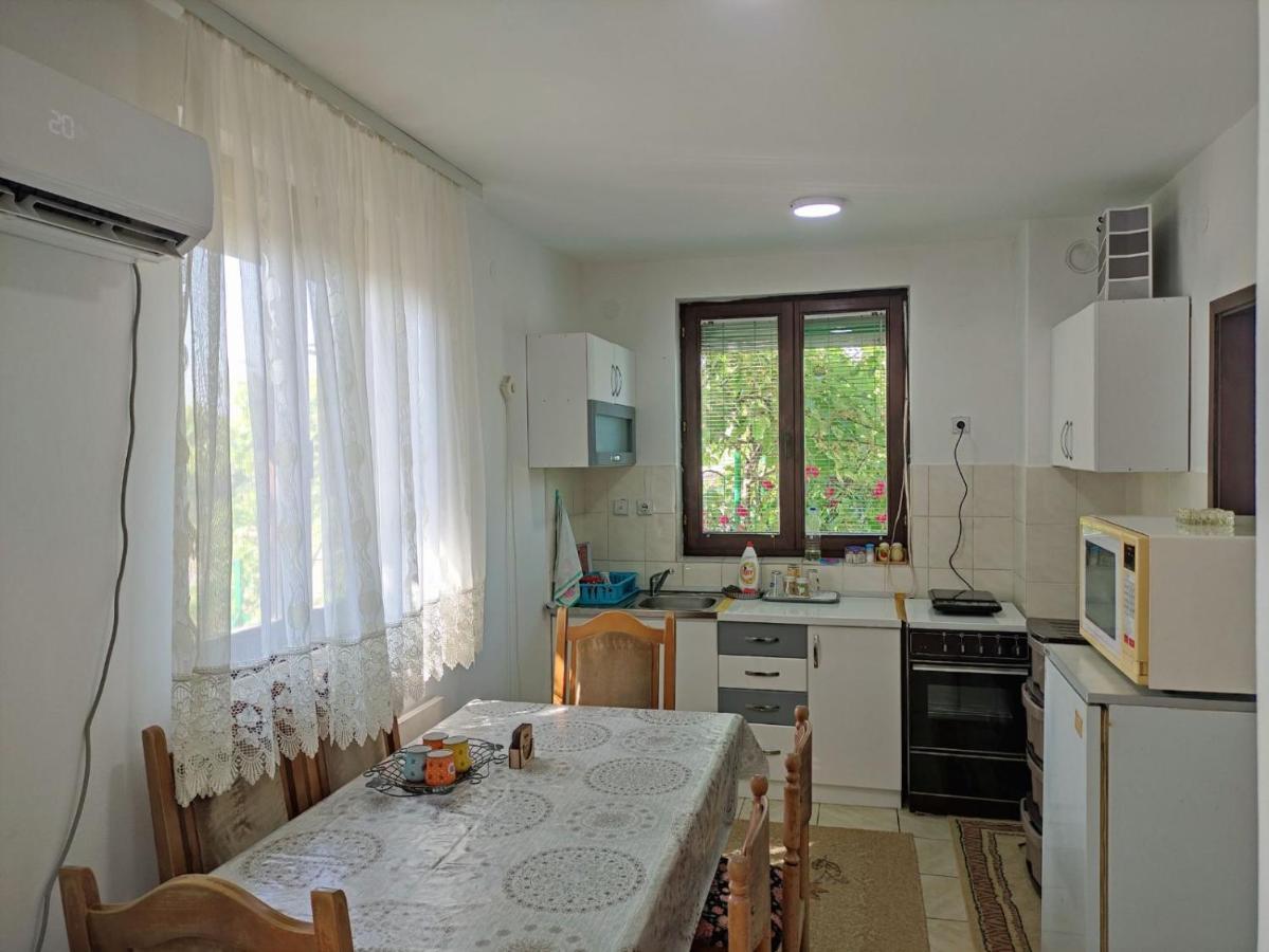 Cozy House Cvetkovic Villa Ni Dış mekan fotoğraf