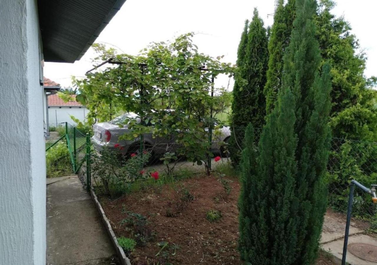 Cozy House Cvetkovic Villa Ni Dış mekan fotoğraf